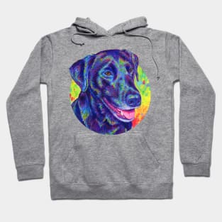 Psychedelic Rainbow Black Labrador Retriever Hoodie